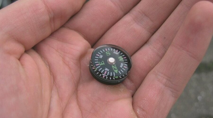 Button compass 