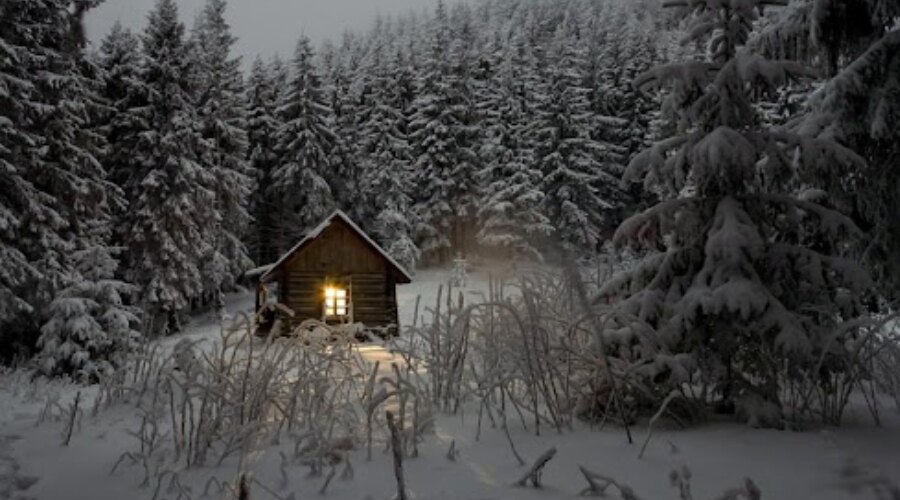 Cottage in a snowy forest
