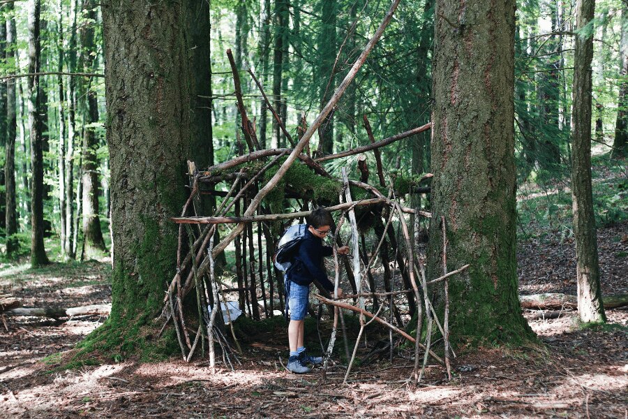 An improvised shelter. Source: https://www.pexels.com/cs-cz/foto/les-teenager-dobrodruzstvi-venku-10808026/