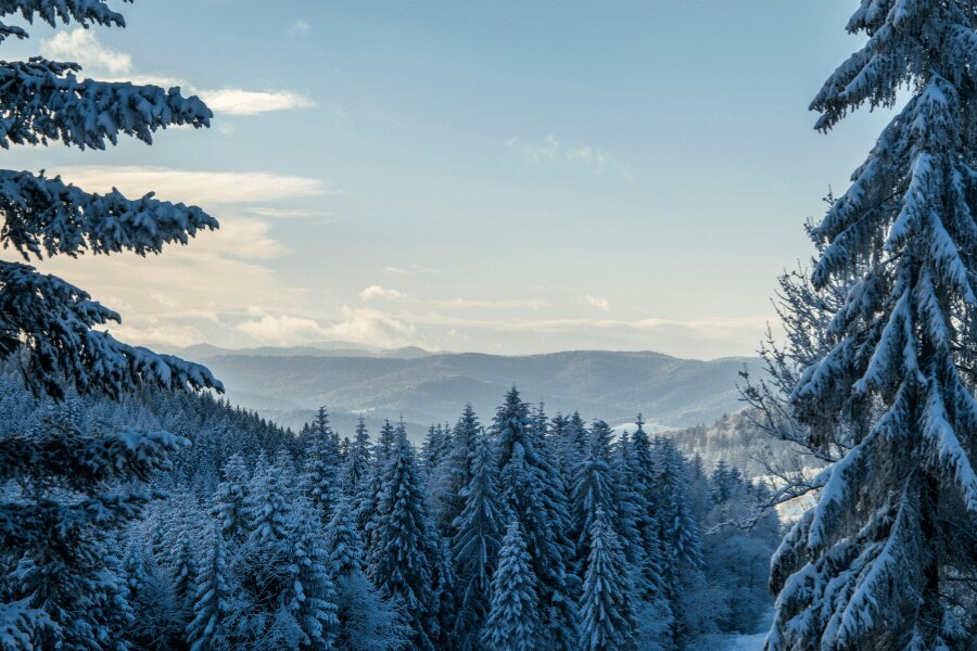 Winter landscape. Source: https://www.pexels.com/cs-cz/hledat/winter%20landscape/