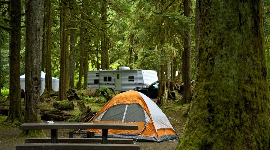 Tent in the forest 