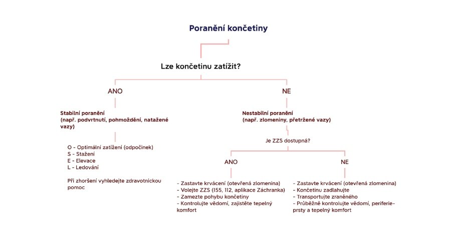 Description of the procedure in the case of a limb injury