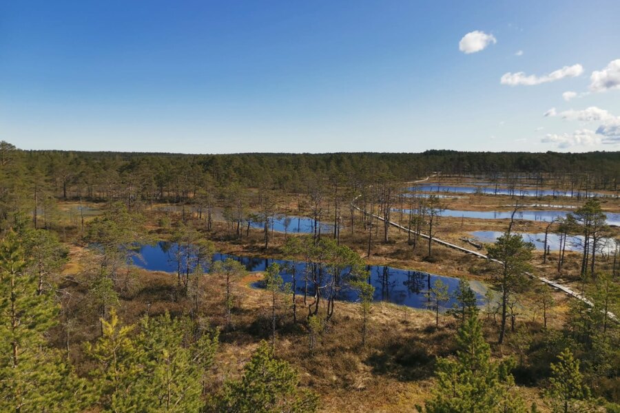 Lahemaa National Park 