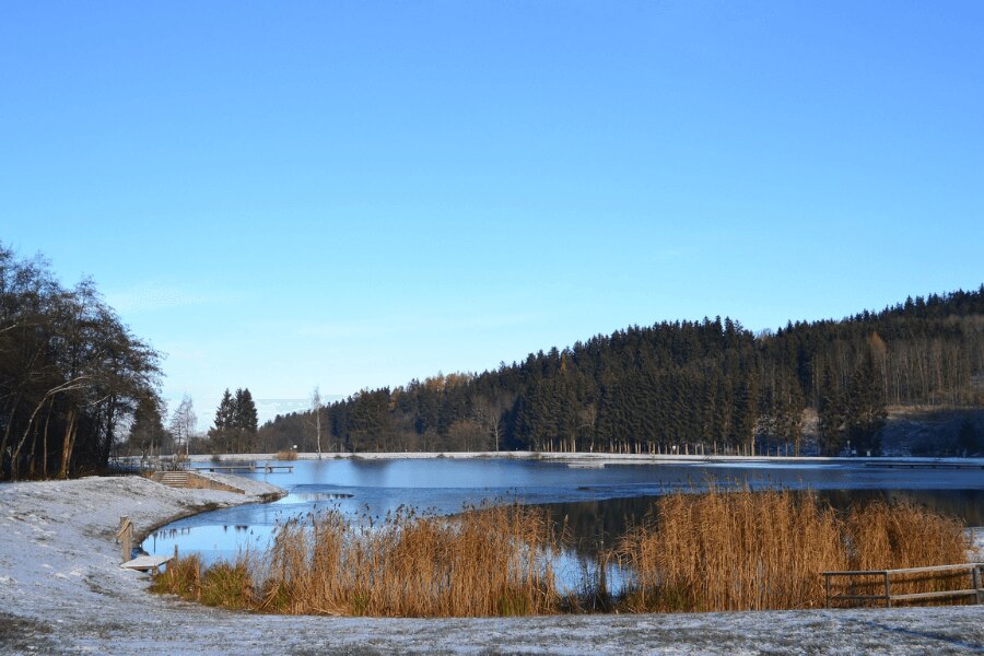 Lake, autumn