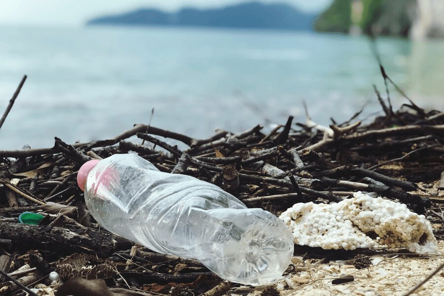 litter in nature, leave no trace, Source: https://www.pexels.com/cs-cz/foto/rozostreni-dreveny-lahev-znecisteni-2409022/