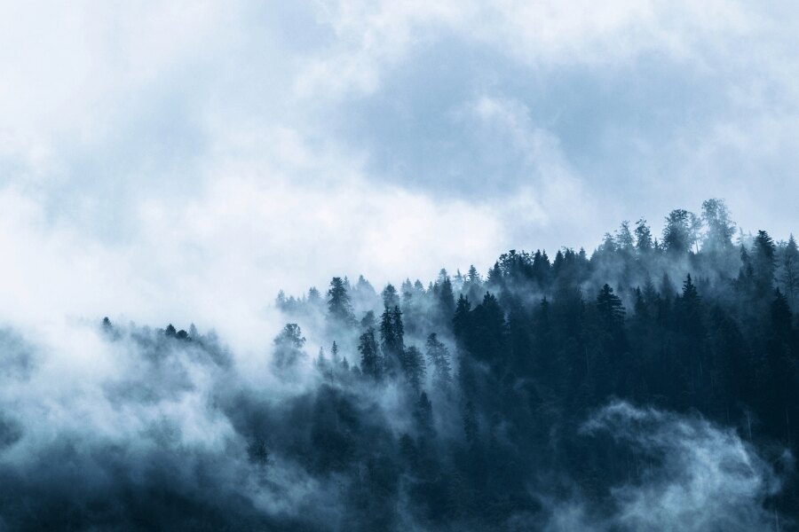 The nature in winter. Source: https://www.pexels.com/cs-cz/foto/ryma-svetly-krajina-hory-167699/