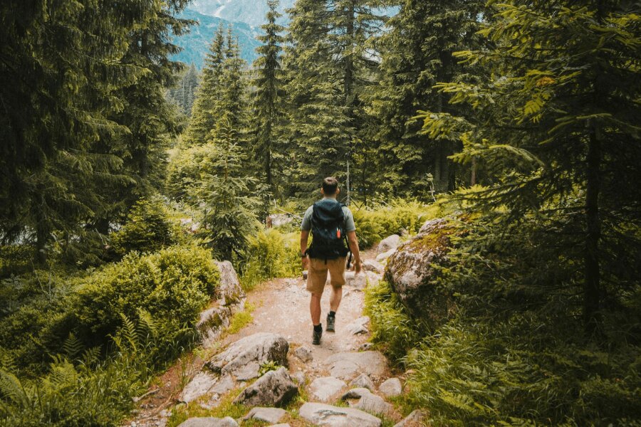 Man with backpack hiking in the forest