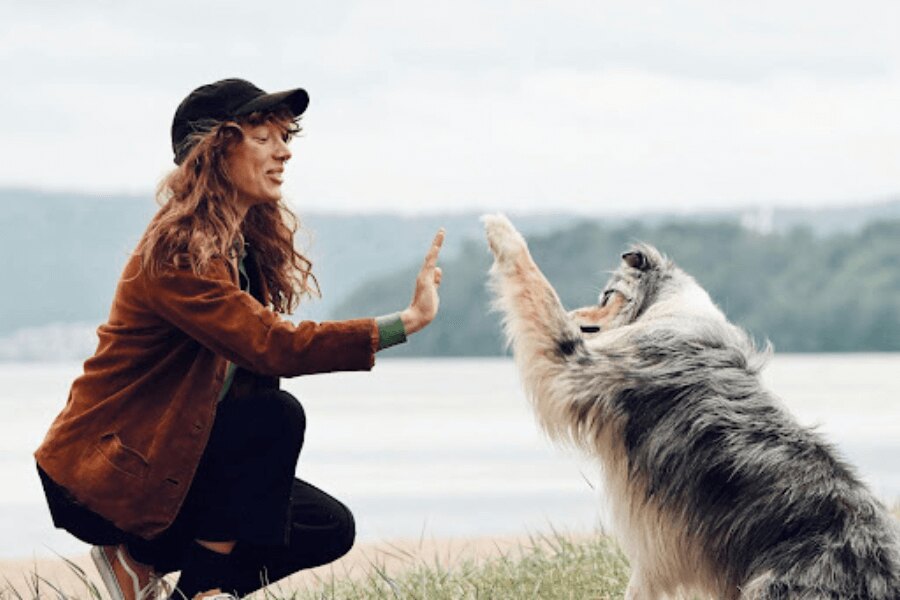 A woman with a dog near a lake. Source: https://www.pexels.com/cs-cz/foto/more-priroda-plaz-dovolena-27949841/