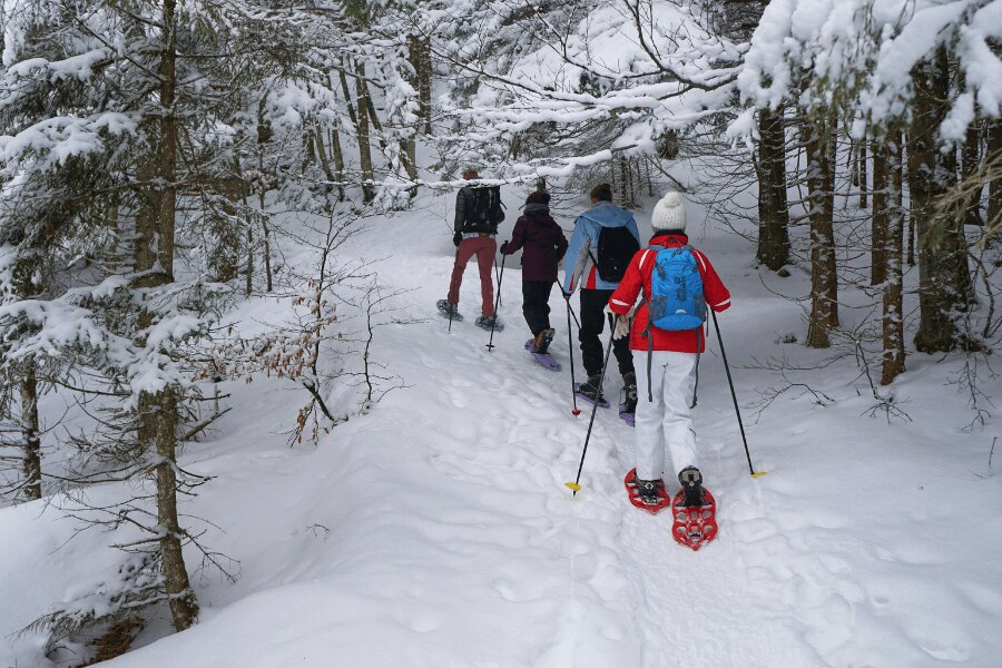 A group of people walking with snowshoes on. Source: https://www.pexels.com/cs-cz/foto/ryma-studeny-snih-lide-19280188/