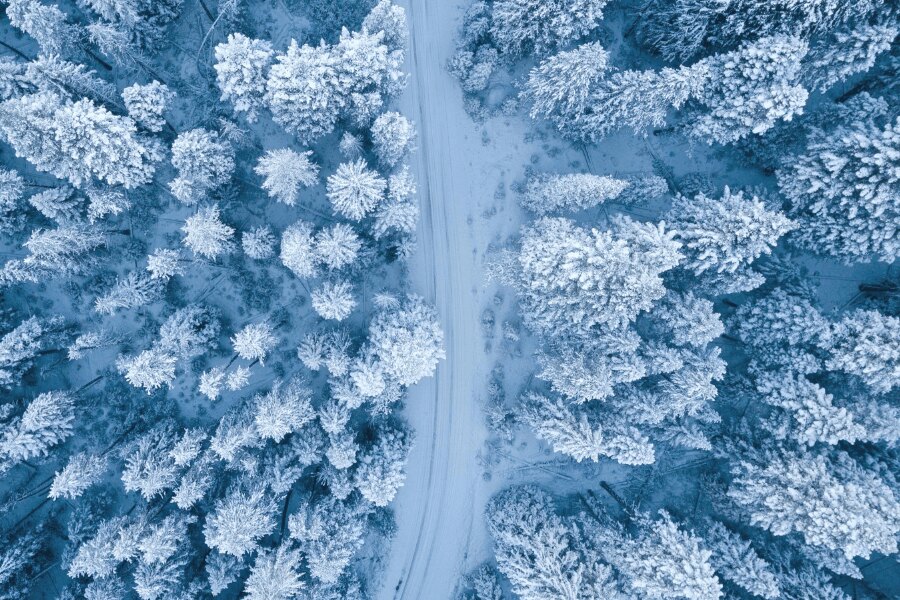 A snow-covered forest, view from a drone. Source: https://www.pexels.com/cs-cz/foto/1438761/