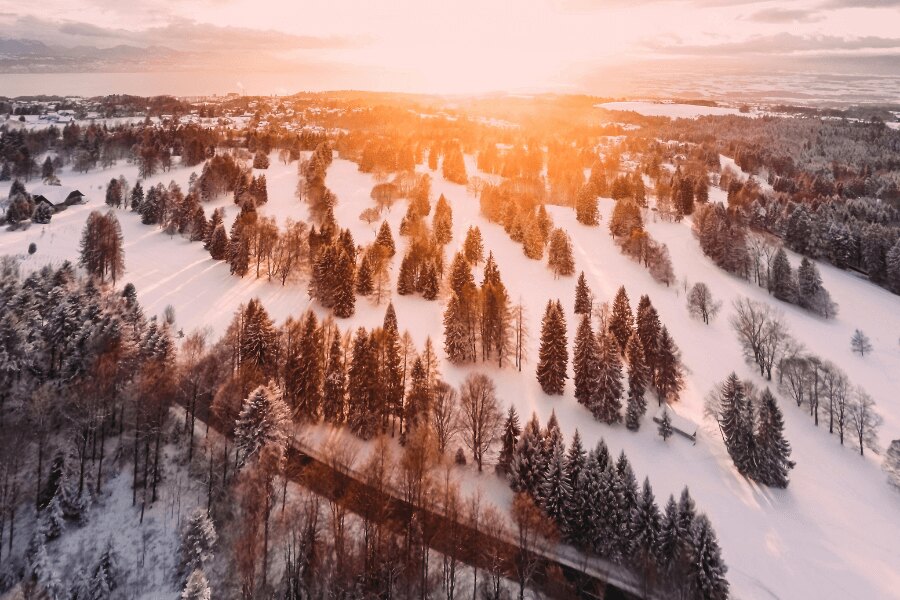 Winter countryside with a forest during sunset. Source: https://www.pexels.com/cs-cz/foto/1643773/