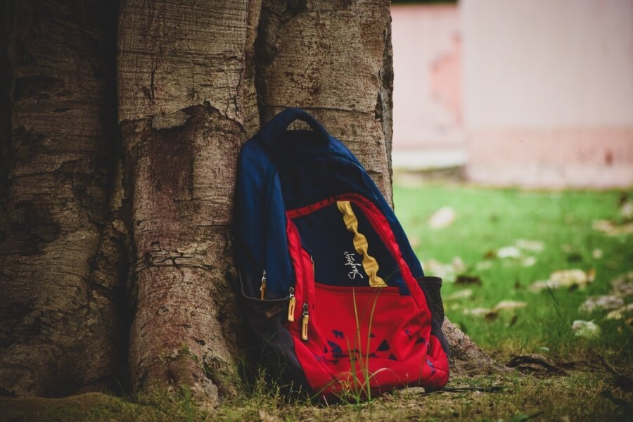 A backpack leaning against a tree