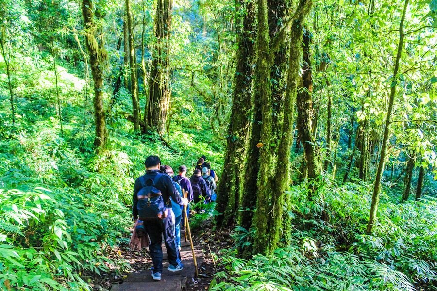 People on a walk in the nature park