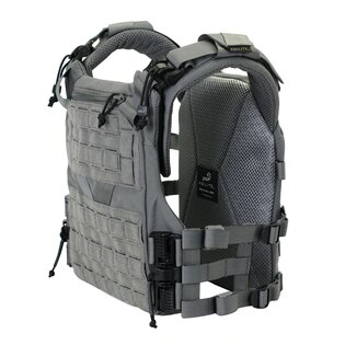 Agilite® K19 plate carrier