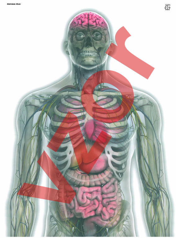 Target – figure body