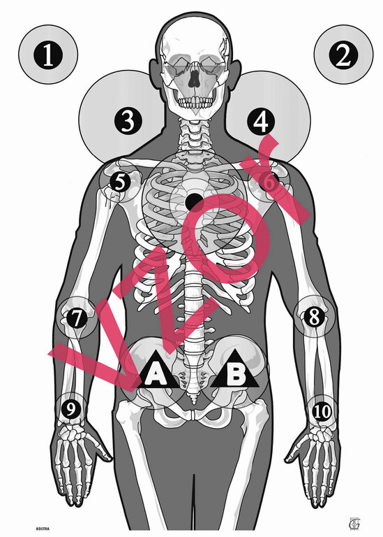 Target – figure skeleton